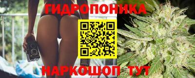 прущие крисы Канаш