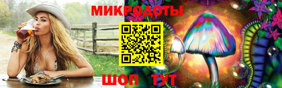 Псилоцибиновые грибы Psilocybe Краснознаменск