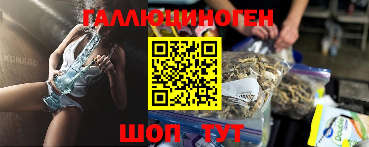 купить   Вход с VPN  Галлюциногенные грибы мицелий  Краснознаменск  Галлюциногенные грибы мухоморы 